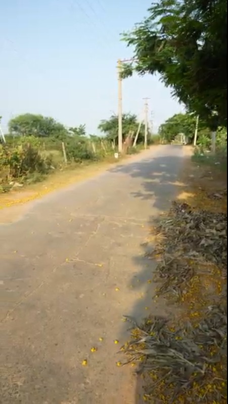 Gokavaram Site 4