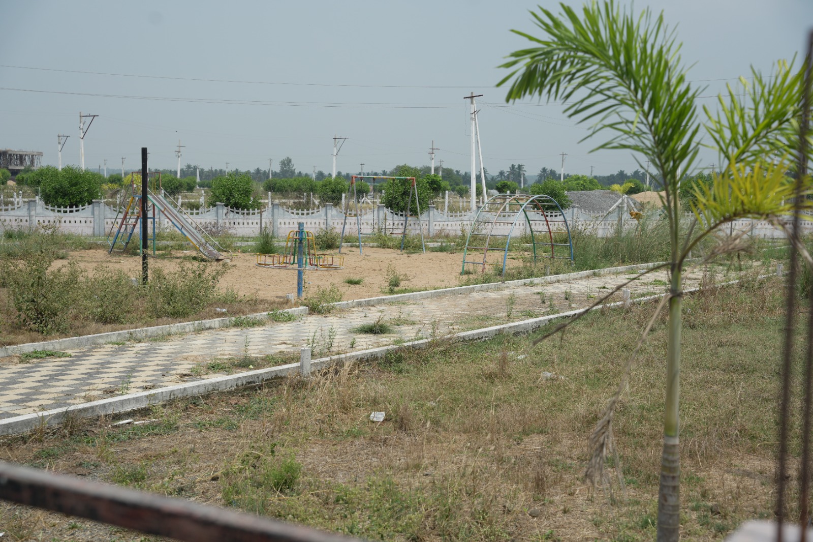 Kolamuru 2