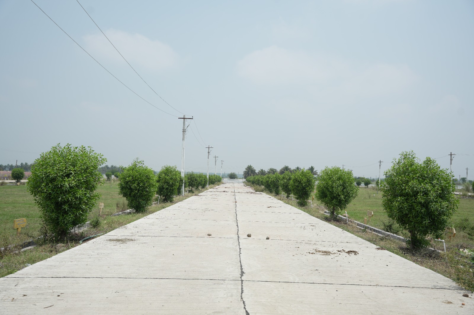 Kolamuru 3